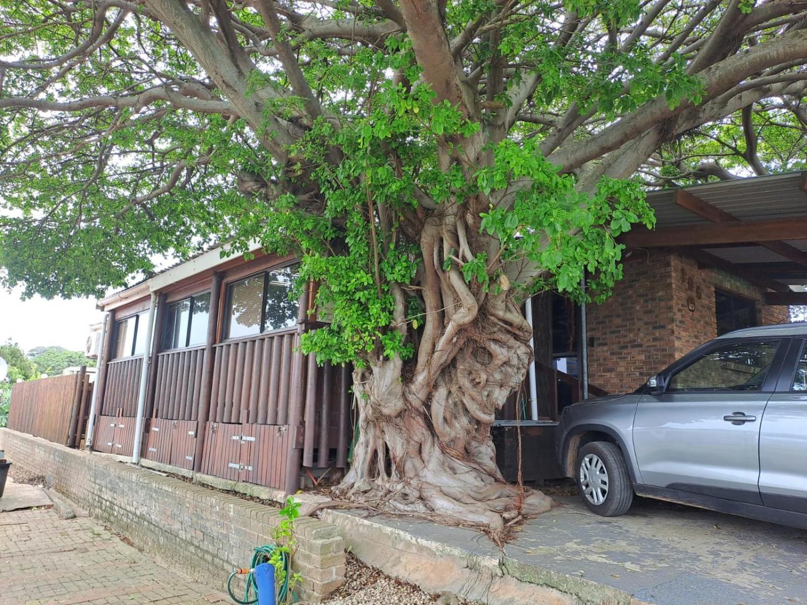 Seaviews Holiday Resort Jeffreys Bay Exterior photo